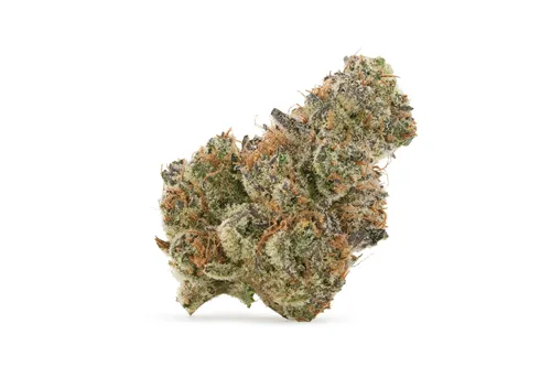 Product image of Gelato Mint - Tribal - Dried Flower