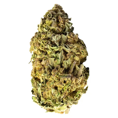 Skyh - Bleuh - Dried Flower