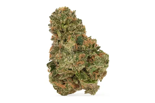 Product image of Gastro Pop Premium Smalls - Amani Craft - Dried Flower