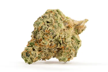 Product image of Big Smallz - Tenzo - Dried Flower