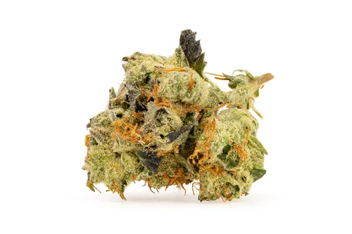 Product image of Cupid's Bow - BC Smalls - Dried Flower