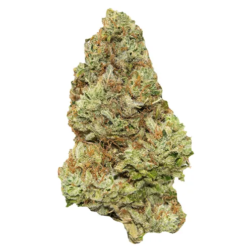 Golden Tangie - Contraband - Dried Flower