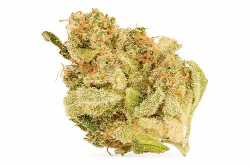 Product image of Ruby Haze Smalls - Socio  - Dried Flower