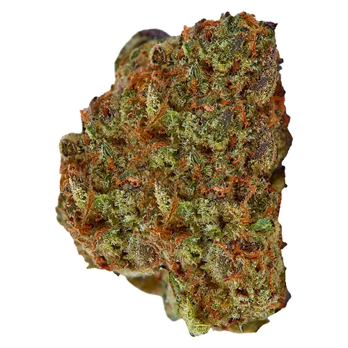 Second Breakfast (Hydroponic) LTO - Top leaf - Dried Flower