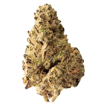 Product image of Platinum Punch - The Loud Plug - Dried Flower