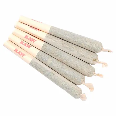 Product image of Gary Satan - Sixty Seven Sins - Joints