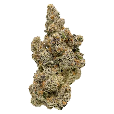 Product image of LALALAND - Hot Air Balloon - Dried Flower
