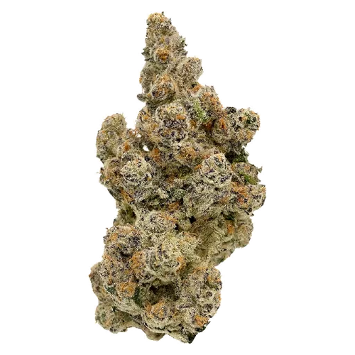 Product image of LALALAND - Hot Air Balloon - Dried Flower