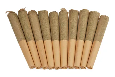 Product image of Moon Puppies - Choklit Park - Joints