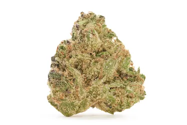 Product image of Watermelon Mojo ZKTLZ - Tenzo - Dried Flower