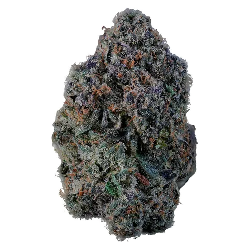 Product image of Ice Cream Cake #4 - KWALL - Dried Flower