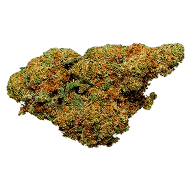 Product image of Apricot Cream & Cheese 1:1 - Clem & Co - Dried Flower