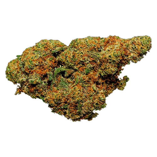 Product image of Apricot Cream & Cheese 1:1 - Clem & Co - Dried Flower