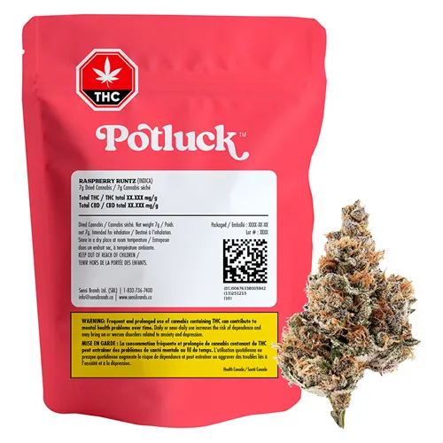 Raspberry Runtz - Potluck - Dried Flower
