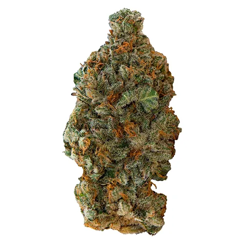 Product image of Girl Scout Cookies - Versus - Dried Flower