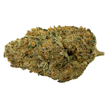 Cherry Tang - Pure Sunfarms - Dried Flower