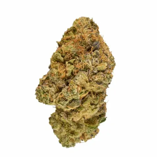 Milk & Cookies - Broken Coast - Dried Flower