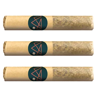 Product image of Pure Moroccan Hash Pre-Rolls - Tremblant Cannabis - Infused Joints