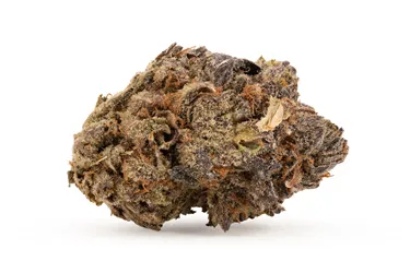 Product image of Purple Rainbow - Good & Baked - Dried Flower