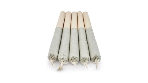 Afghani Drifter - Greybeard - Joints