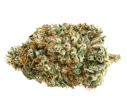 Alien Fuel - Soar - Dried Flower