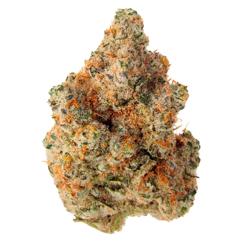 Product image of Masterpiece - EastCann - Dried Flower