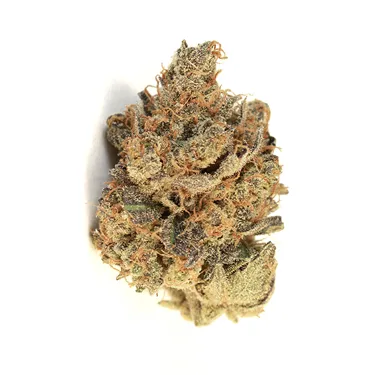 Product image of Pink Bubba - WAGNERS - Dried Flower