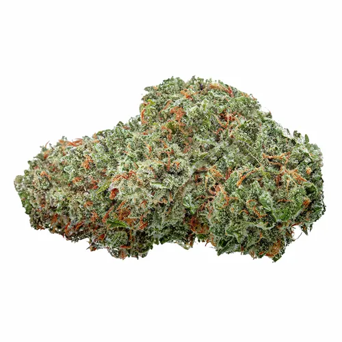 Product image of Amsterdam Sativa - Highly Dutch - Dried Flower