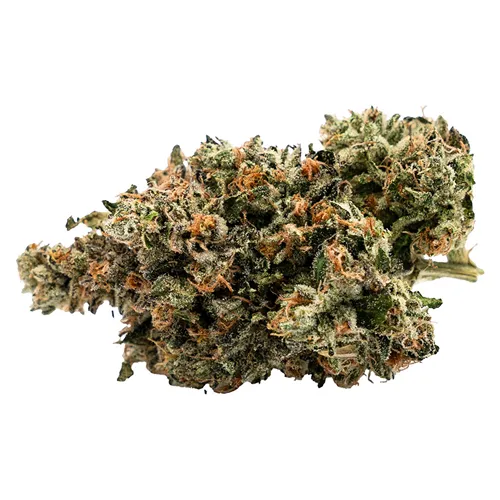 Product image of Old School Fuel - West Coast Gas - Dried Flower