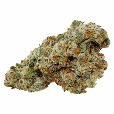 Product image of Special Haze - Pure Laine - Dried Flower