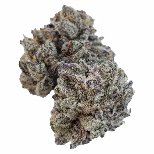 Product image of Jungle Kush - Sheeesh! - Dried Flower