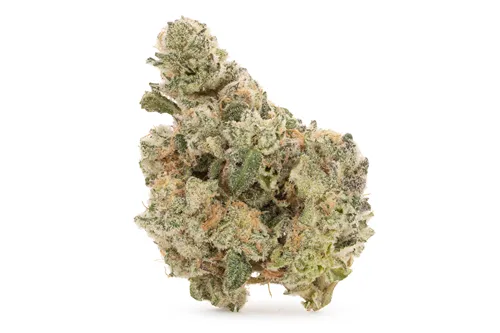 Product image of El Chivo - All Nations - Dried Flower