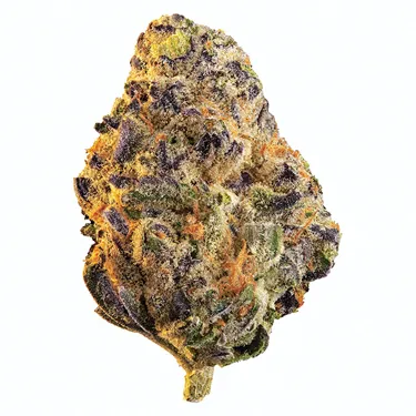 Product image of Black Cherry Punch - Edison - Dried Flower