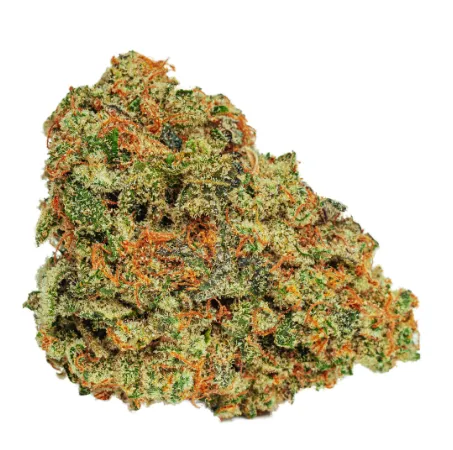 Animal Cookies - LOOP/POOL - Dried Flower