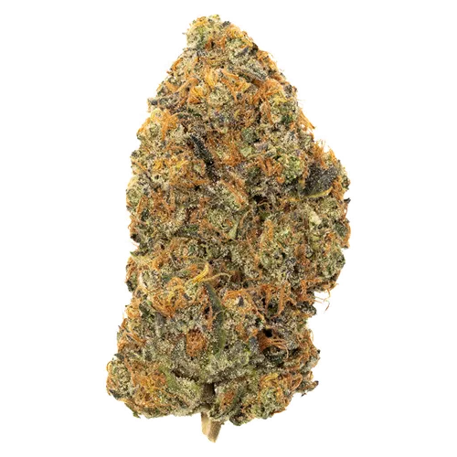 Gas - Oddball - Dried Flower