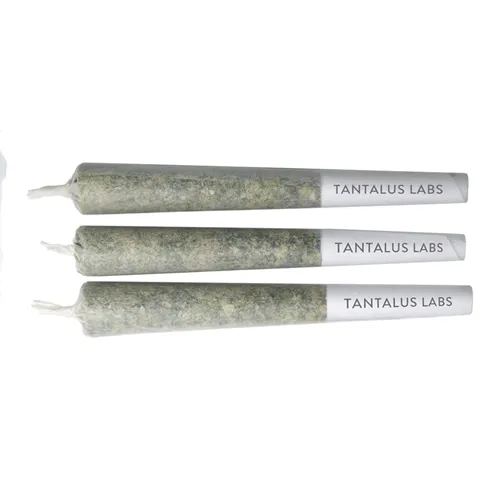 Pacific OG - Tantalus - Joints