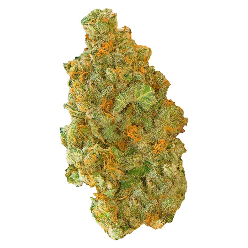 Product image of Sour Patch Kiss - Palmetto - Dried Flower