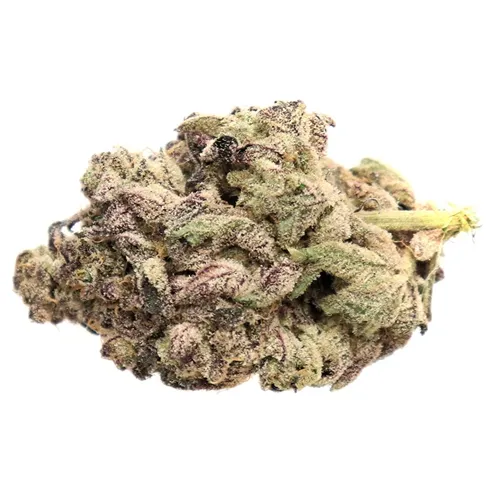 A-Mint - Truro - Dried Flower