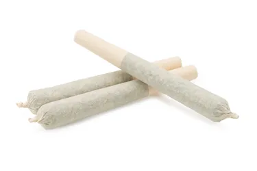 Product image of BC Organic Dancehall - Coast Mountain Cannabis - Joints