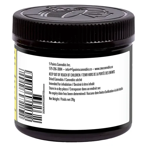 Farmer's Market - Catch Me Outside - Dried Flower