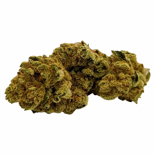 Product image of Animal Face - Dykstra Greenhouses - Dried Flower