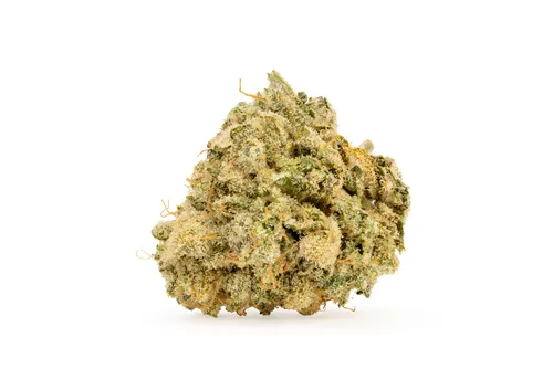 Product image of Lime Head Smalls - Island Genetics - Dried Flower