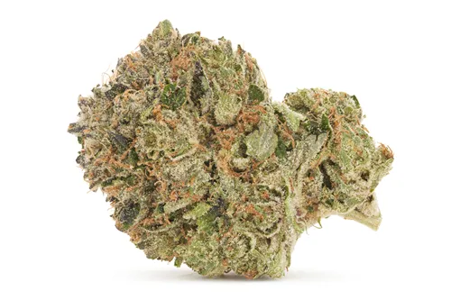 Product image of Lindsay OG - Pistol and Paris - Dried Flower