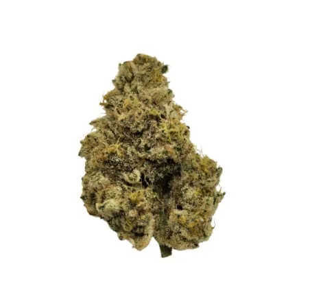 Product image of French Cookies - Ritual Green - Dried Flower