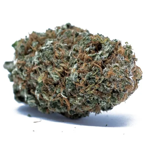 Product image of BC Belladonna - Flowr - Dried Flower