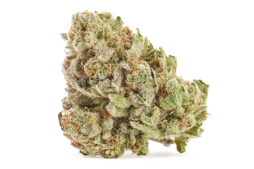 Product image of Magi's Legacy Rotational - Salt Spring Magic - Dried Flower