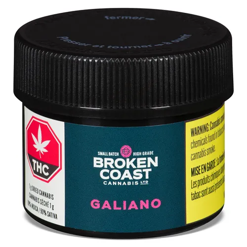 Northern Lights Haze (Galiano) - Broken Coast - Dried Flower