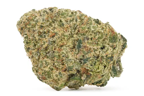 Product image of Zebra Stripes - Carmel - Dried Flower