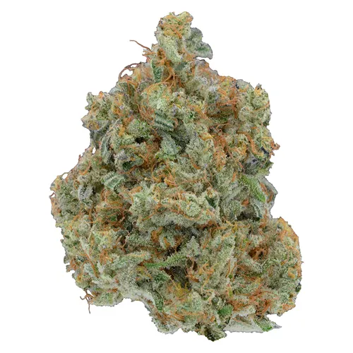 Omakase - Be Humble. - Dried Flower