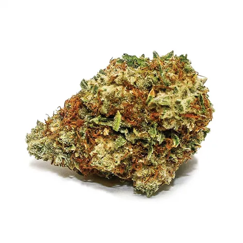 Charlees - Redecan - Dried Flower